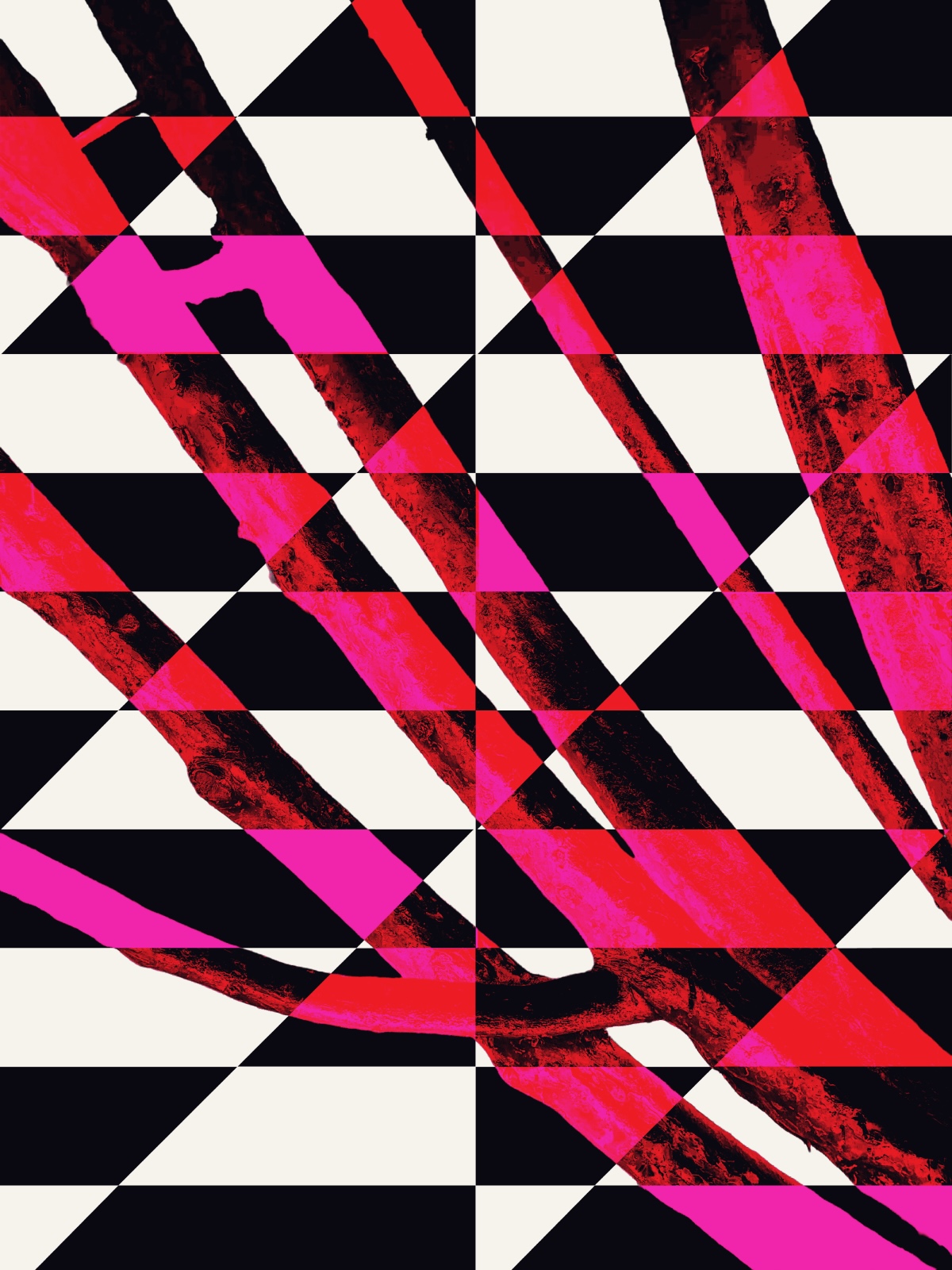 Striped and diagonal patterns intersecting with tree branches, each disrupting the other