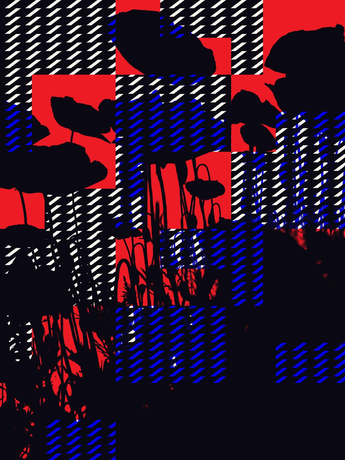 Silhouetted poppies partly hidden by a graphic pattern and rectangular shapes