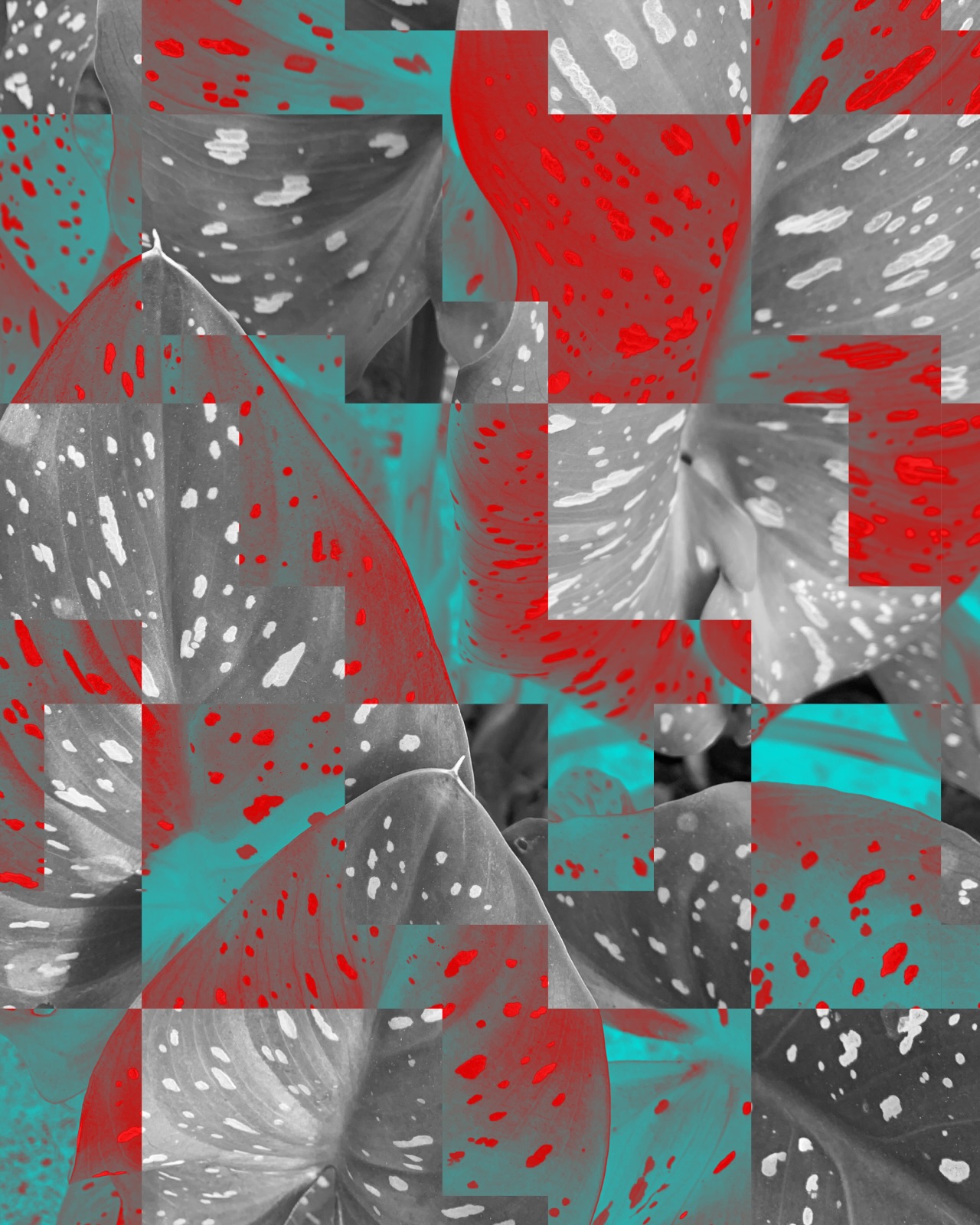 Close-up of grayscale leaves merged with a geometric pattern that adds color where the two overlap