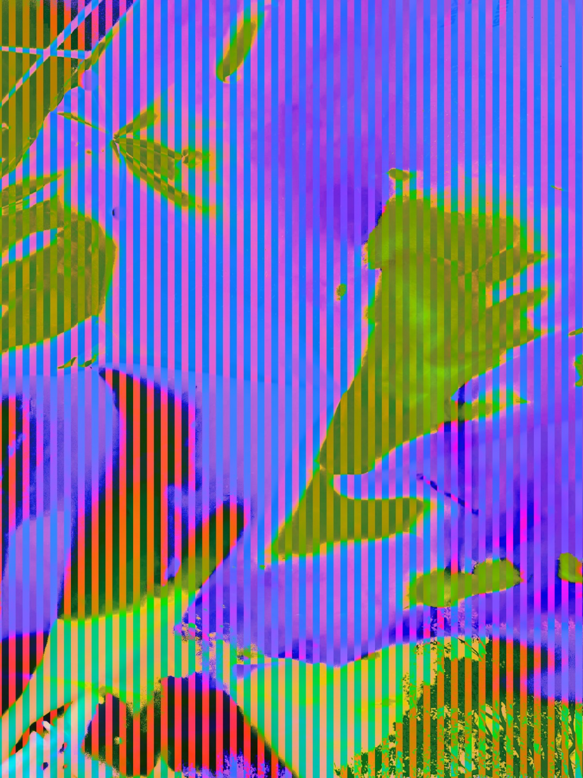 Stripes and a close-up of foil packaging forming an electric landscape
